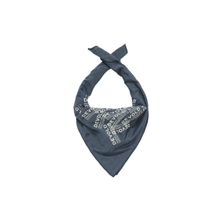 ENDURANCE MERINO BANDANA